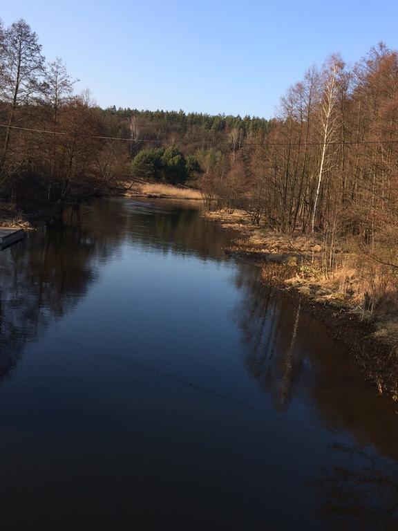 Dom Bory Tucholskie Villa Gostycyn Esterno foto